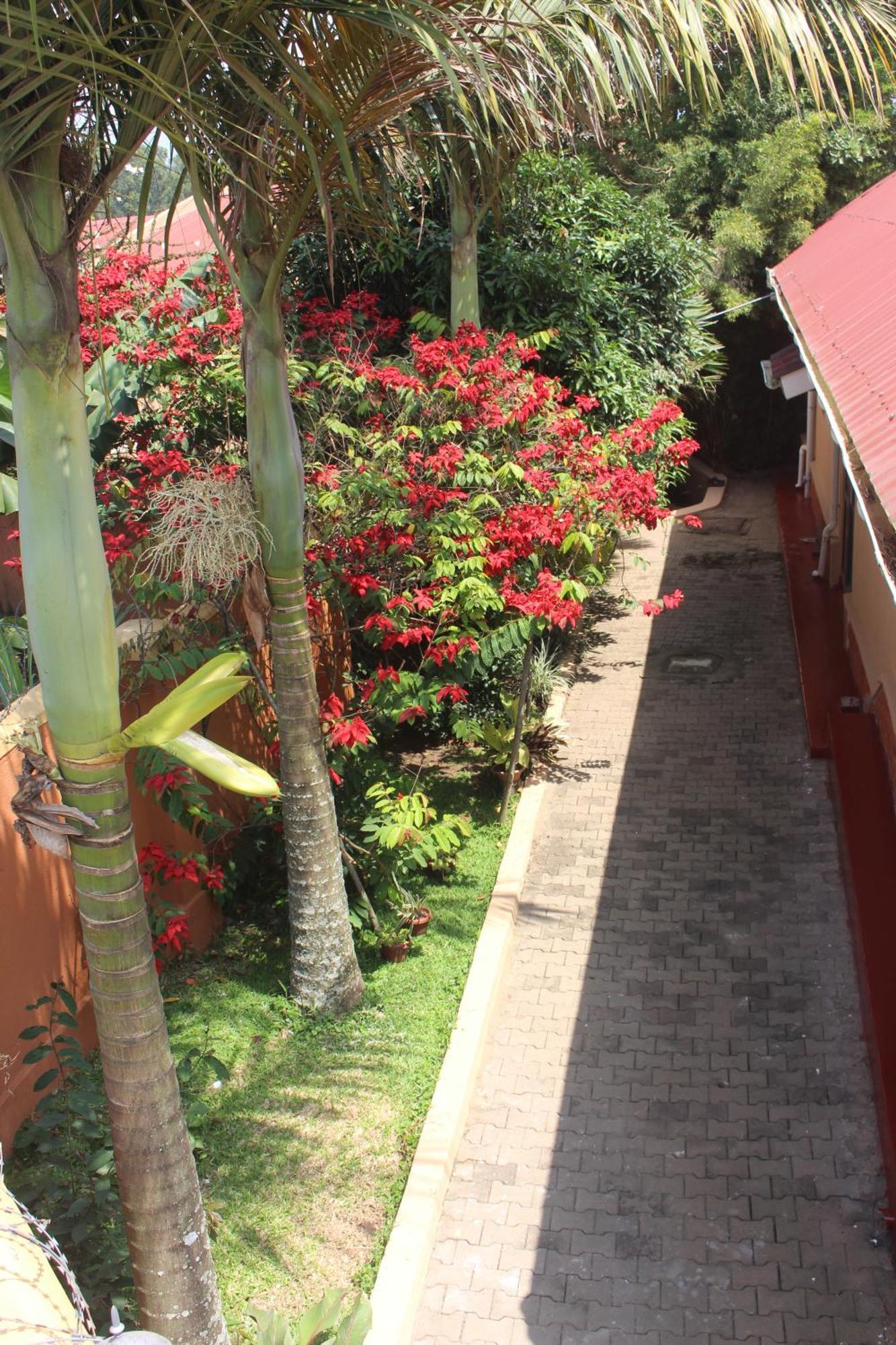 Montane Safaris Hotel Fort Portal Bagian luar foto